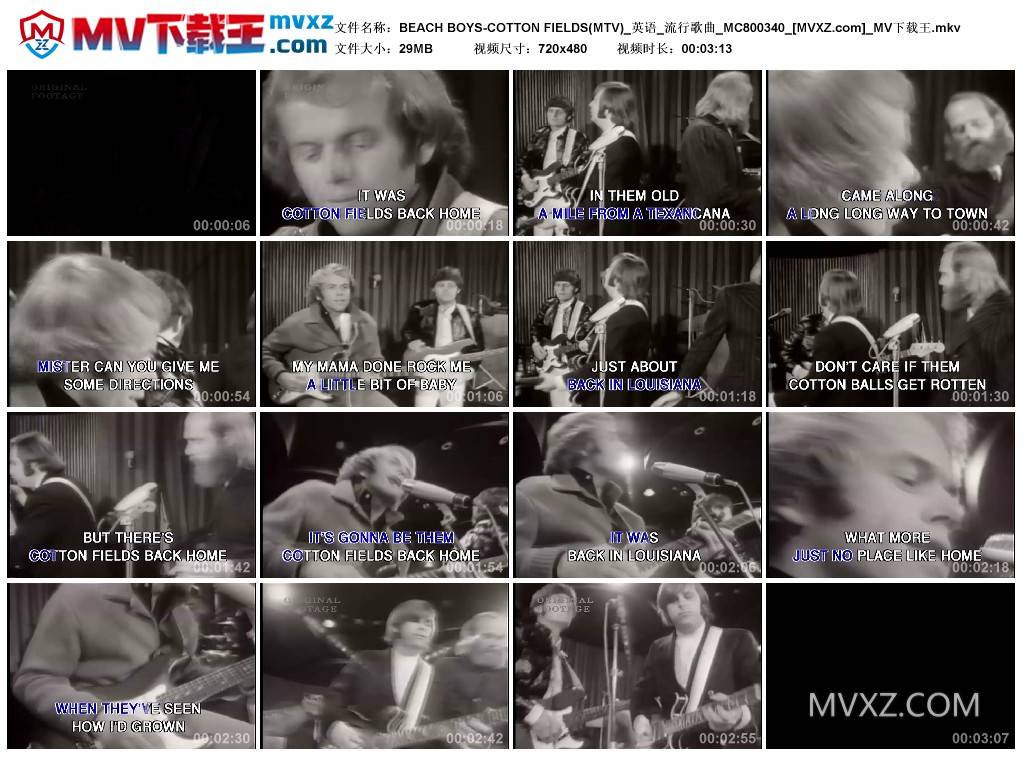 BEACH BOYS-COTTON FIELDS(MTV)_英语_流行歌曲_MC800340